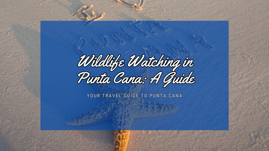 Wildlife Watching in Punta Cana: A Guide